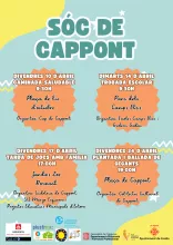 Sóc de Cappont