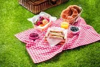 RECOMANACIONS PER ANAR DE "PICNIC"