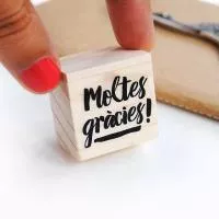 GRÀCIES PER LA VOSTRA COL·LABORACIÓ!