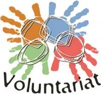 VOLUNTARIAT COMISSIONS
